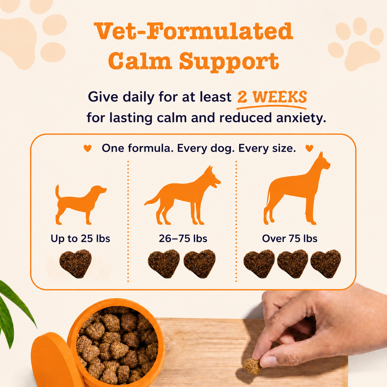 X1 Easy-Days® Dogs/Cats