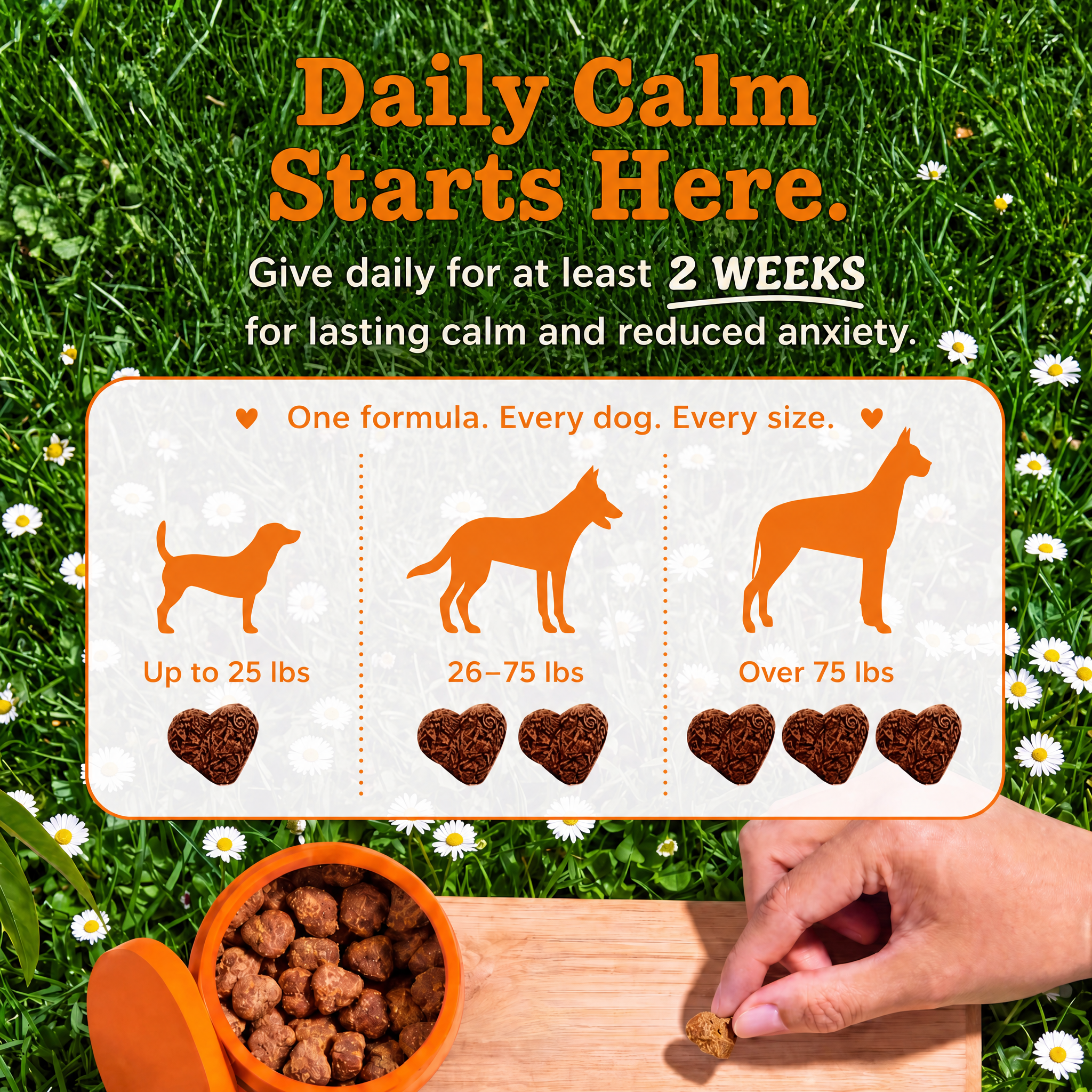 EzDays® - Calming Bites™